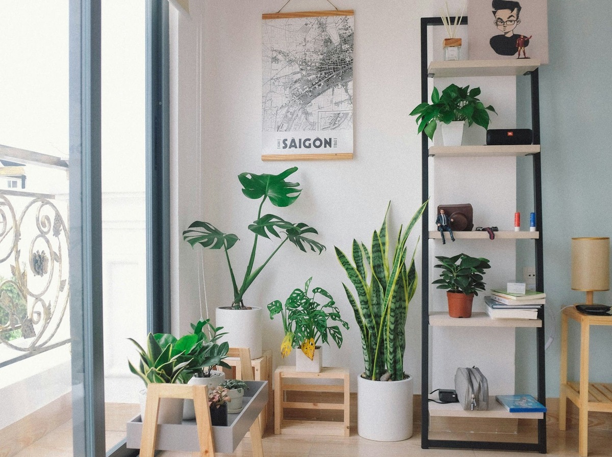 decoração com plantas