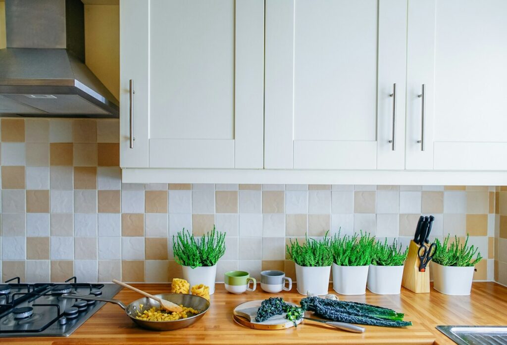 plantas para cozinha 1